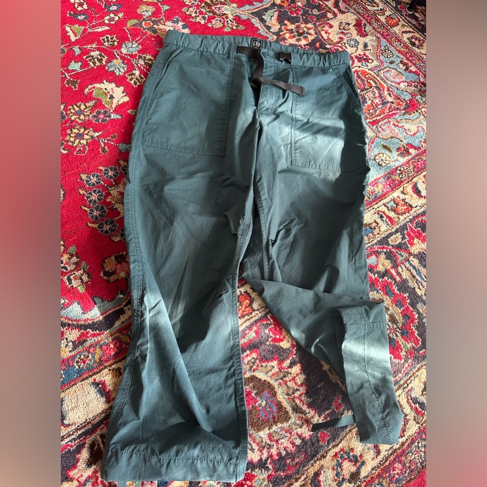 Gap Men’s L Rain/Wind Pant